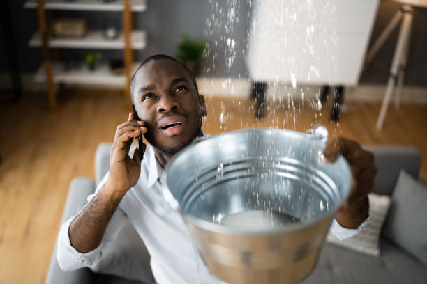 Best Local water damage restoration  in Hayneville, AL