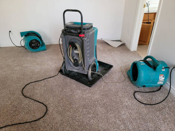Carpet water damage restoration in Hayneville, AL