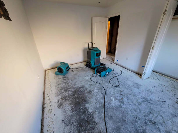Best Residential water damage restoration  in Hayneville, AL
