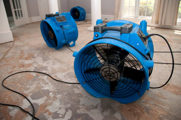  Hayneville, AL Water damage restoration Pros