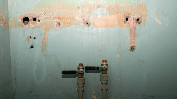 Best Sewage cleanup and water damage restoration  in Hayneville, AL