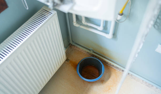 Trusted Hayneville, AL Water damage restoration Experts