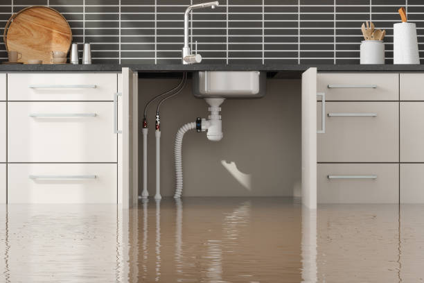 Best Water damage restoration near me  in Hayneville, AL