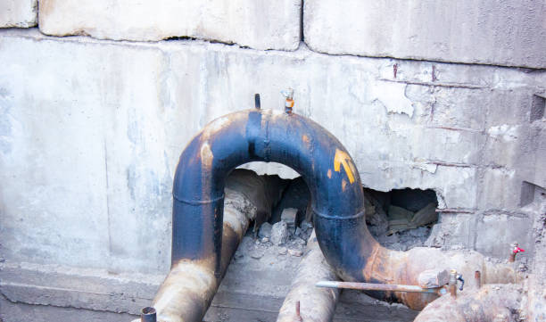 Best Carpet water damage restoration  in Hayneville, AL