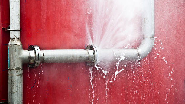 Best Flooded house restoration  in Hayneville, AL